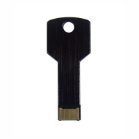 Key USB Drive 1
